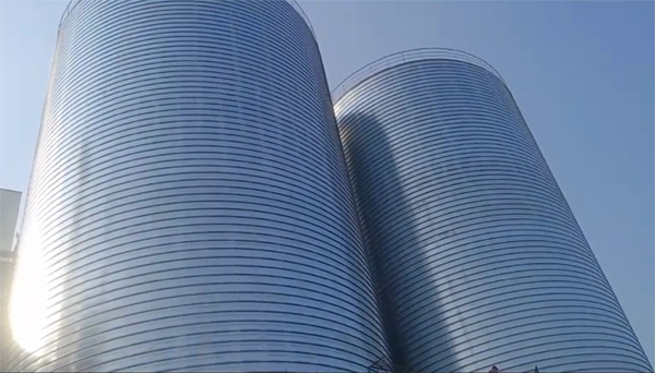 南城2座混凝土高架卷板仓